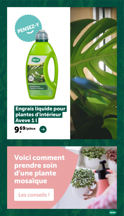 AVEVE Dépliant 22.04.2026