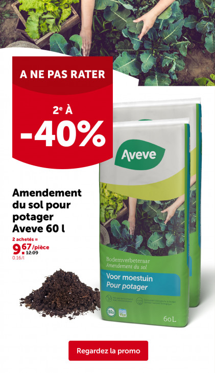 AVEVE Dépliant 22.04.2026