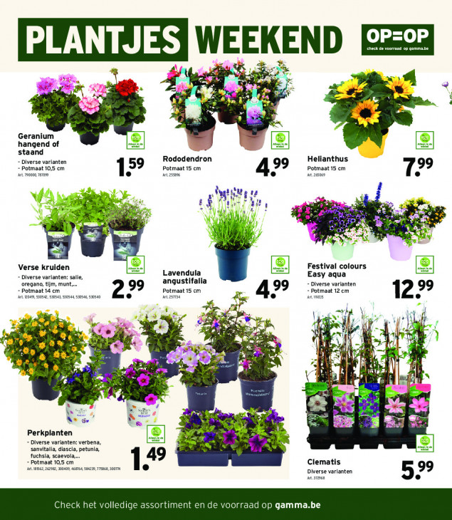 Gamma Folder 22.04.2026