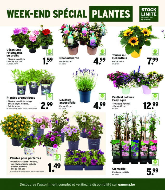 Gamma Dépliant 22.04.2026