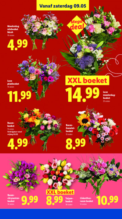 Lidl Folder 04.05.2026