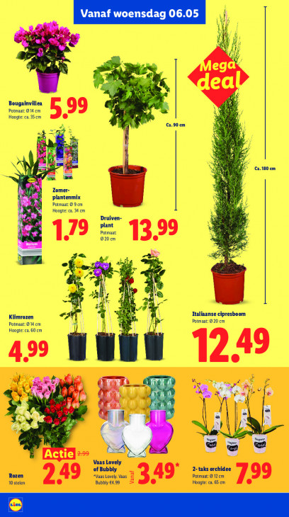 Lidl Folder 04.05.2026