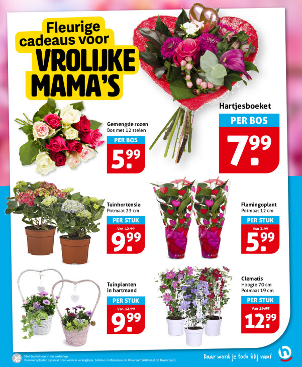 Hoogvliet Folder 06.05.2026