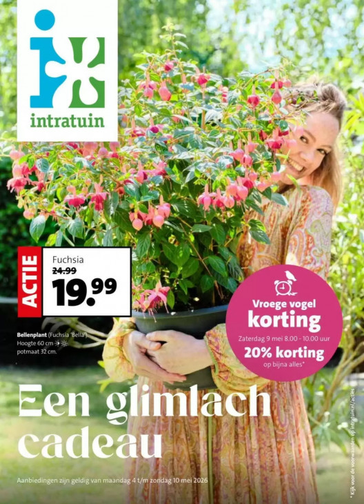 Intratuin