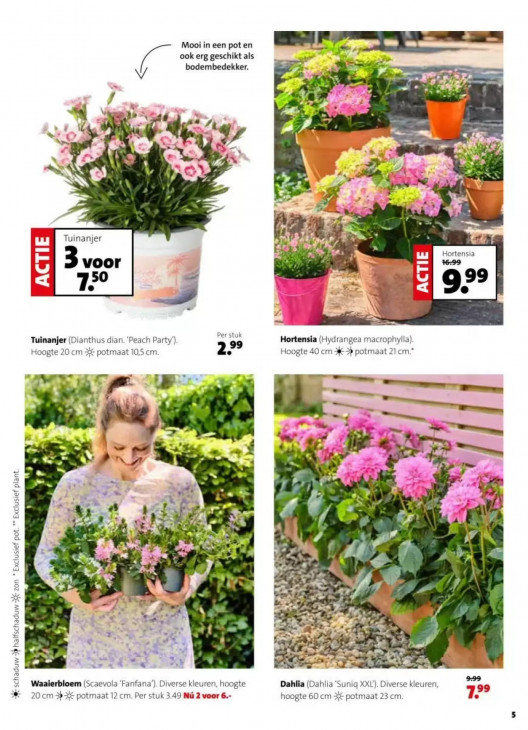 Intratuin Folder 04.05.2026