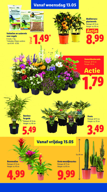 Lidl Folder 11.05.2026