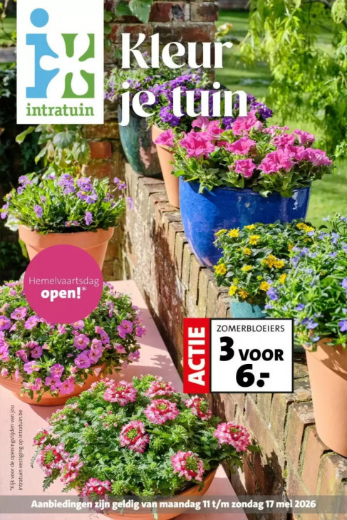 Intratuin