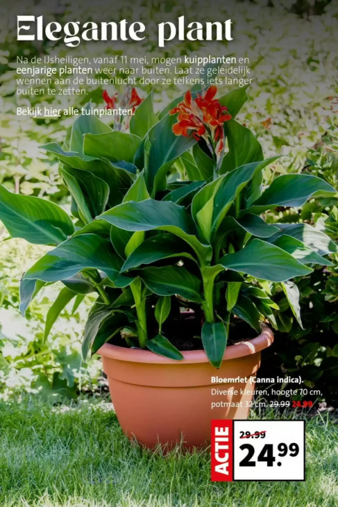 Intratuin Folder 11.05.2026