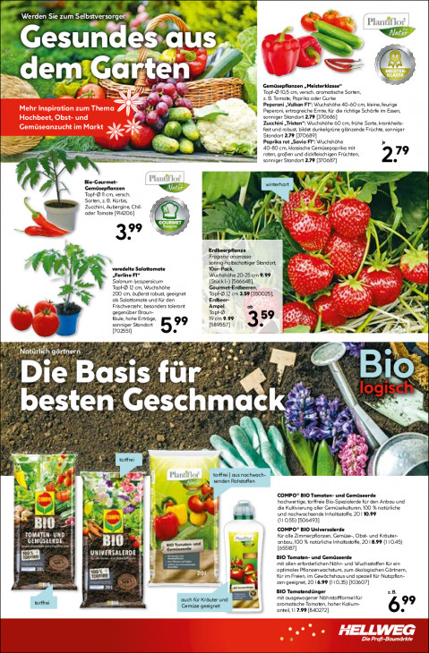 Hellweg Baumarkt Angebote ab 11.05.26 bis 16.05.26