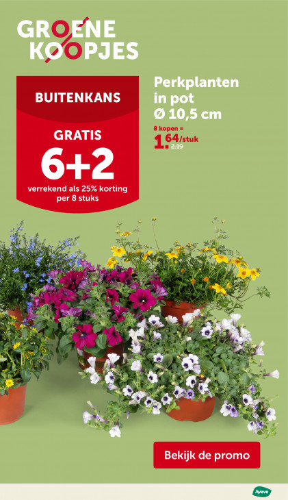AVEVE Folder 06.05.2026