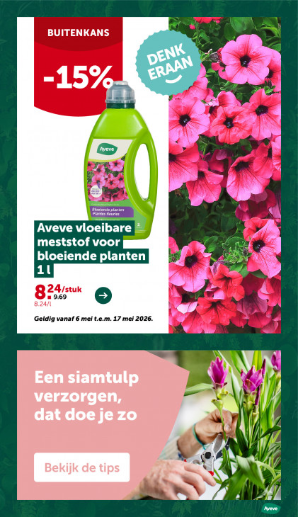 AVEVE Folder 06.05.2026