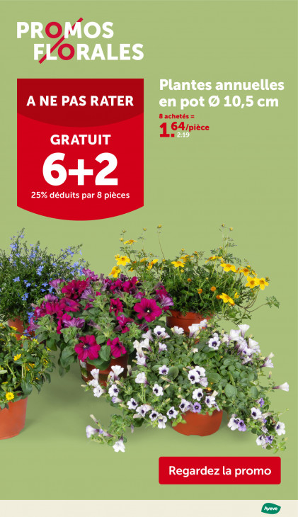 AVEVE Dépliant 06.05.2026