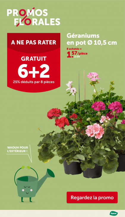 AVEVE Dépliant 06.05.2026