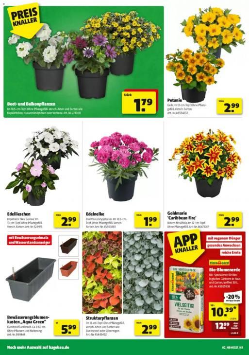 Hagebaumarkt - woche-20-ab-16-05-2026-bis-23-05-2026-seite-2-wewae