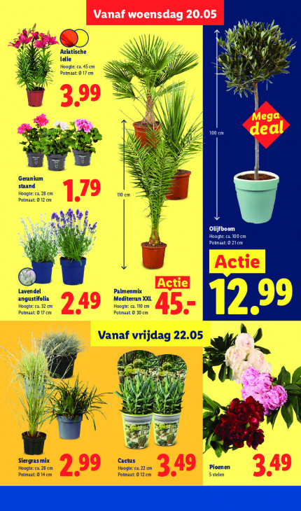 Lidl Folder 18.05.2026