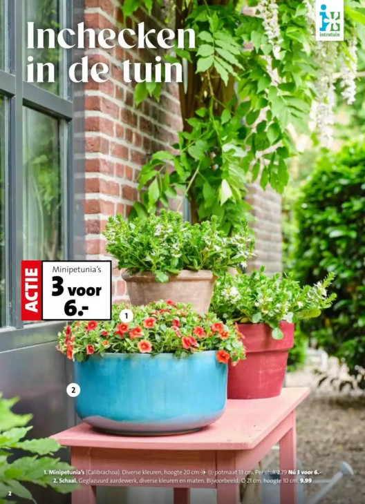 Intratuin Folder 18.05.2026