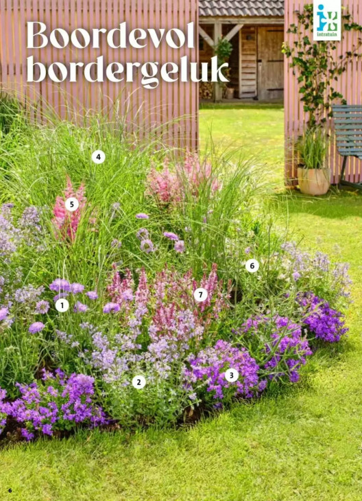 Intratuin Folder 18.05.2026