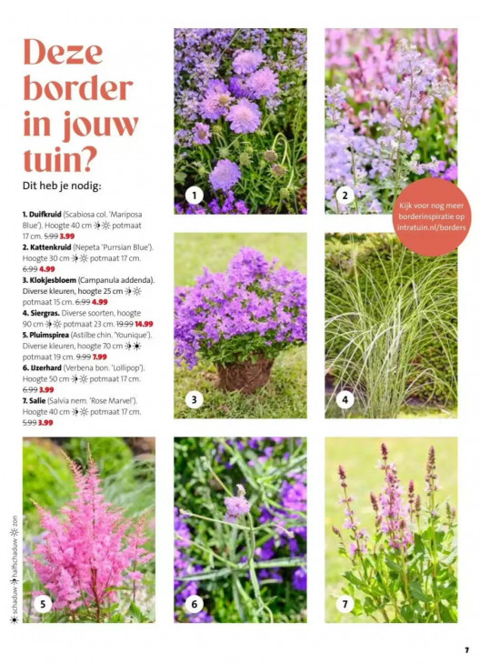 Intratuin Folder 18.05.2026