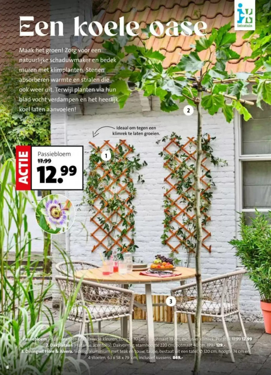 Intratuin Folder 18.05.2026