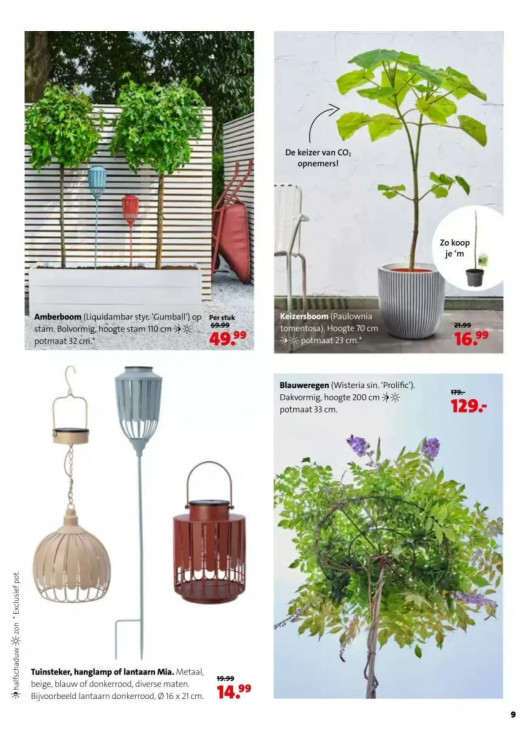 Intratuin Folder 18.05.2026