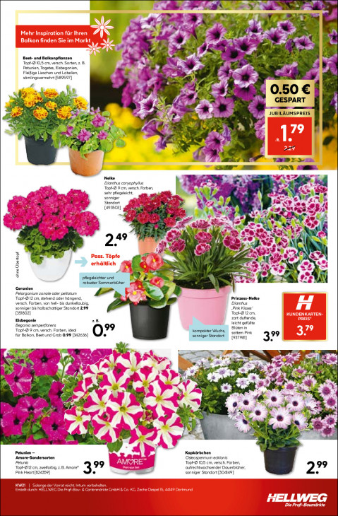 Hellweg Baumarkt - woche-21-ab-18-05-2026-bis-23-05-2026-seite-15-aodzq