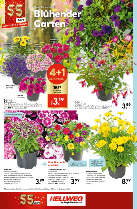 Hellweg Baumarkt - woche-21-ab-18-05-2026-bis-23-05-2026-seite-16-aodzq