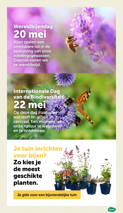 AVEVE Folder 20.05.2026