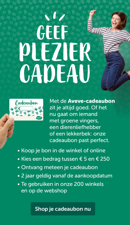 AVEVE Folder 20.05.2026