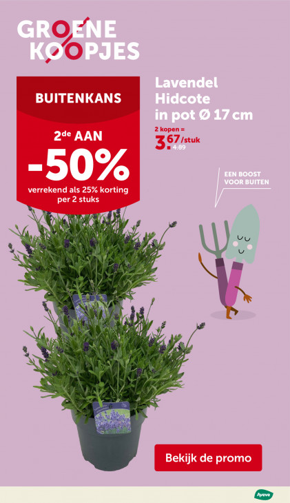 AVEVE Folder 20.05.2026