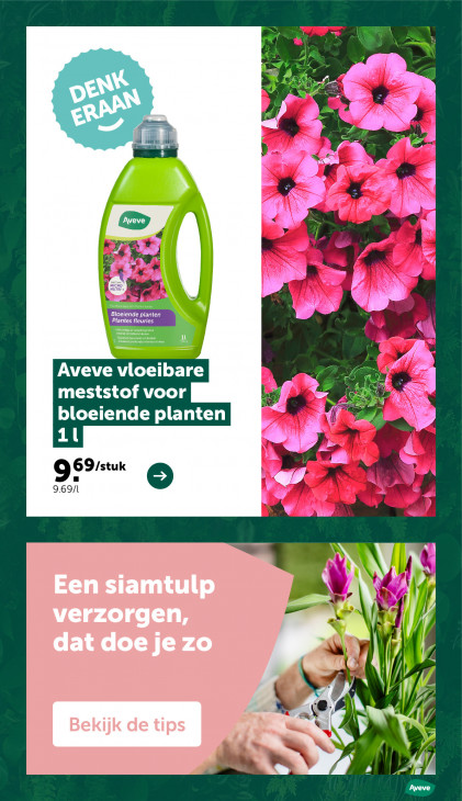 AVEVE Folder 20.05.2026