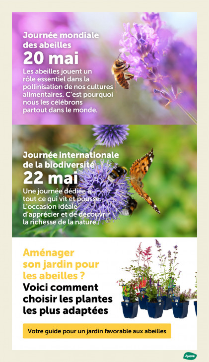 AVEVE Dépliant 20.05.2026