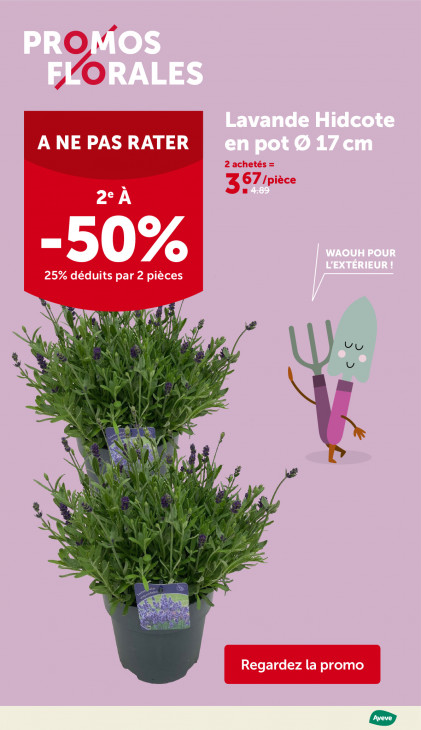 AVEVE Dépliant 20.05.2026