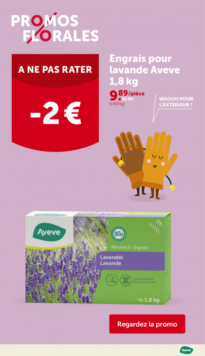 AVEVE Dépliant 20.05.2026