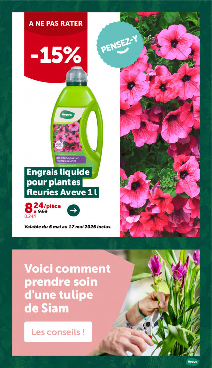 AVEVE Dépliant 20.05.2026