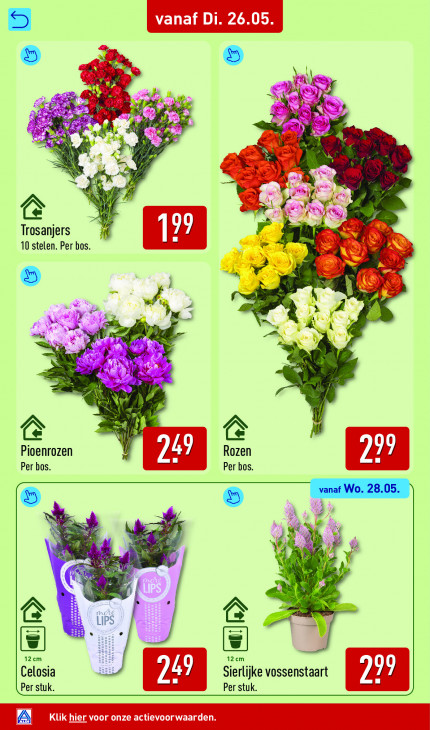 Aldi Folder 25.05.2026