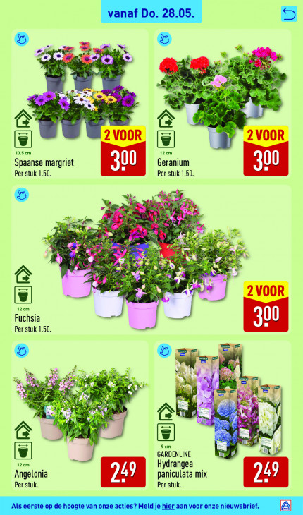 Aldi Folder 25.05.2026