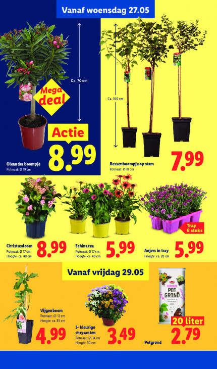 Lidl Folder 25.05.2026