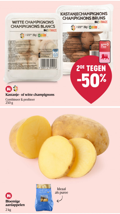 Delhaize Folder 21.05.2026