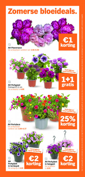 Albert Heijn Folder 26.05.2026