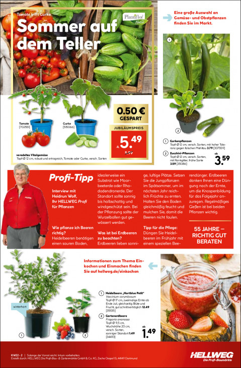 Hellweg Baumarkt - woche-22-ab-26-05-2026-bis-30-05-2026-seite-19-rpbgj