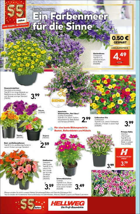 Hellweg Baumarkt - woche-22-ab-26-05-2026-bis-30-05-2026-seite-20-rpbgj