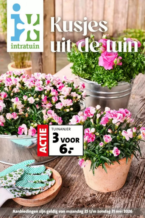 Intratuin