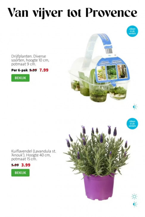 Intratuin Folder 25.05.2026