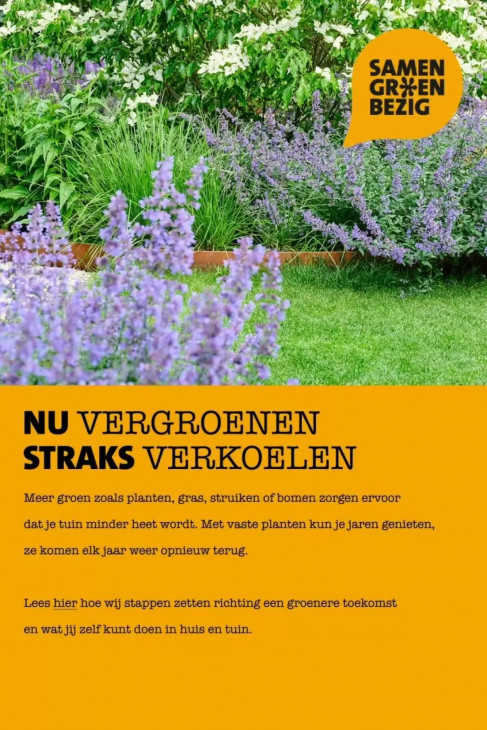 Intratuin Folder 25.05.2026