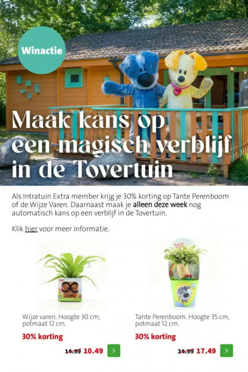 Intratuin Folder 25.05.2026