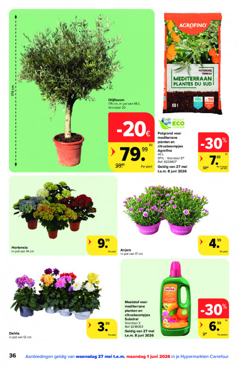 Carrefour Folder 27.05.2026