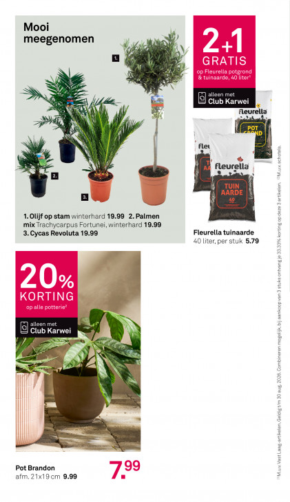 Karwei Folder 25.05.2026