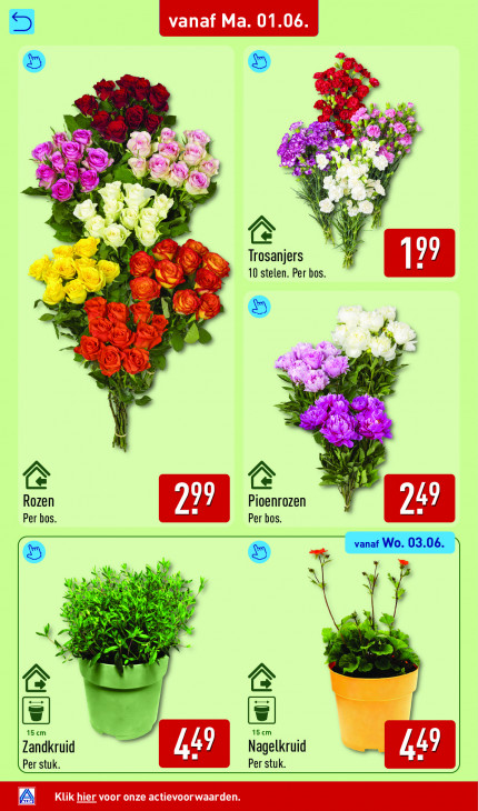Aldi Folder 01.06.2026