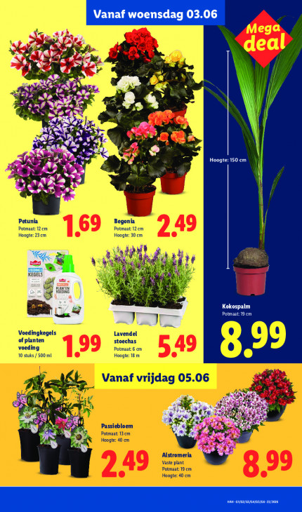 Lidl Folder 01.06.2026