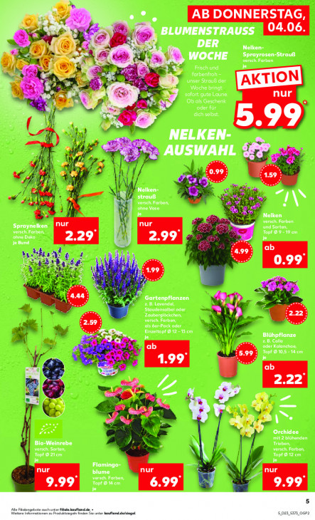 Kaufland - woche-23-ab-04-06-2026-bis-10-06-2026-seite-5-donep